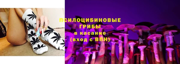 стафф Кодинск