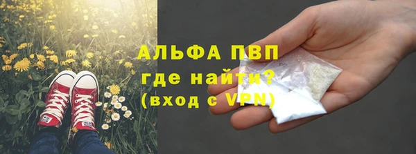 PSILOCYBIN Козельск