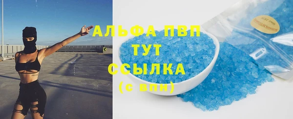 PSILOCYBIN Козельск