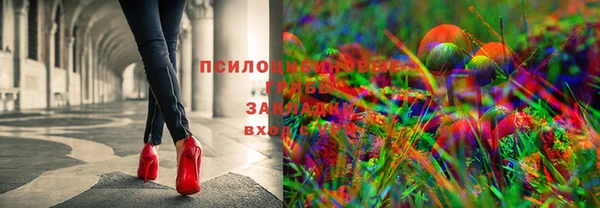 PSILOCYBIN Козельск