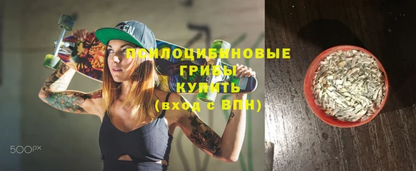 стафф Кодинск
