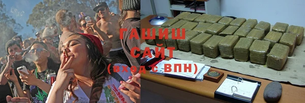 стафф Кодинск