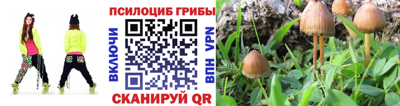 Купить где  Богучар  Галлюциногенные грибы мухоморы 
